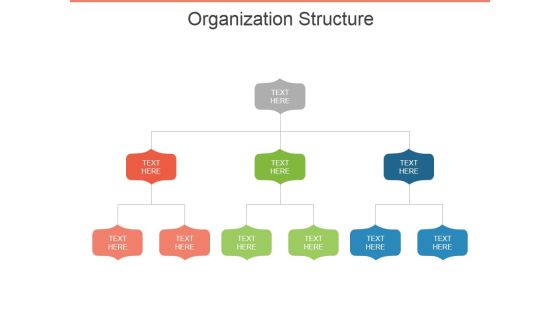 Organization Structure Ppt PowerPoint Presentation File Slide Organization Structure Ppt PowerPoint Presentation File Slide