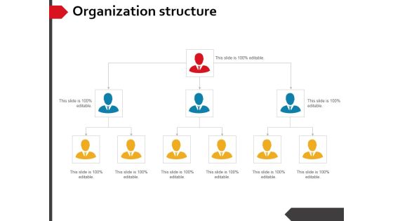 Organization Structure Ppt PowerPoint Presentation Show Graphics Example Organization Structure Ppt PowerPoint Presentation Show Graphics Example