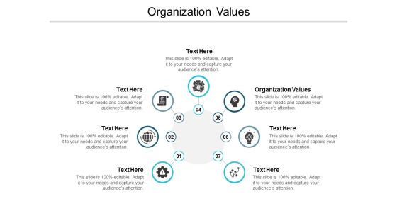 Organization Values Ppt PowerPoint Presentation Layouts Graphics Pictures Cpb