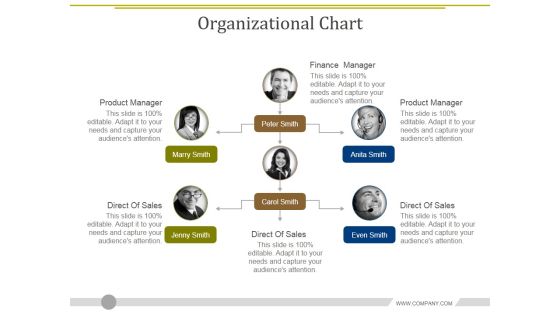 Organizational Chart Ppt PowerPoint Presentation Layouts Demonstration