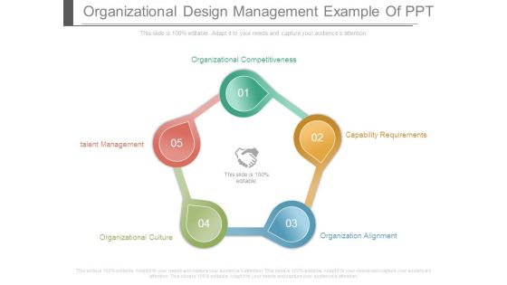 Organizational Design Management Example Of Ppt