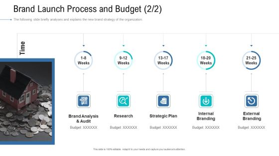 Organizational Development And Promotional Plan Brand Launch Process And Budget Research Portrait PDF