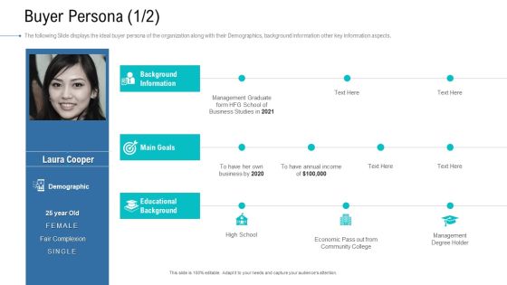 Organizational Development And Promotional Plan Buyer Persona Demographic Mockup PDF