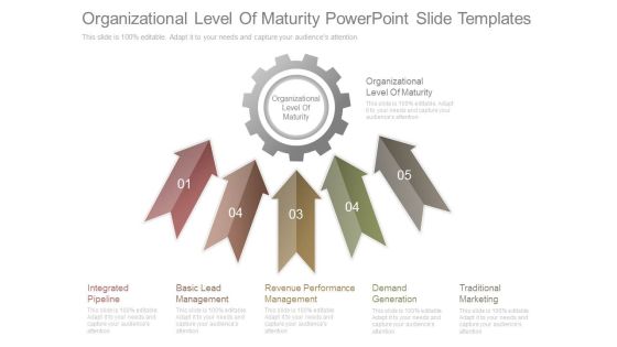 Organizational Level Of Maturity Powerpoint Slide Templates Organizational Level Of Maturity Powerpoint Slide Templates