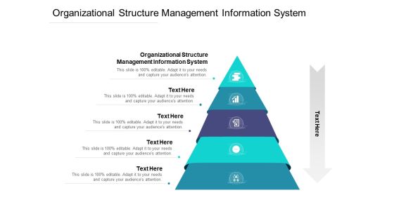 Organizational Structure Management Information System Ppt PowerPoint Presentation Model Portrait Cpb Pdf