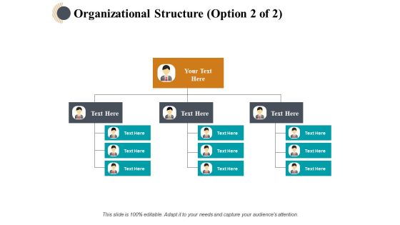 Organizational Structure Management Ppt PowerPoint Presentation Styles Design Templates