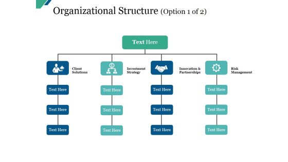 Organizational Structure Template Ppt PowerPoint Presentation Icon Example Organizational Structure Template Ppt PowerPoint Presentation Icon Example