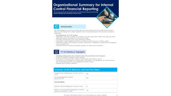 Organizational Summary For Internal Control Financial Reporting One Pager Documents