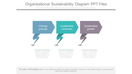 Organizational Sustainability Diagram Ppt Files Organizational Sustainability Diagram Ppt Files