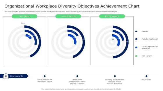 Organizational Workplace Diversity Objectives Achievement Chart Brochure PDF Organizational Workplace Diversity Objectives Achievement Chart Brochure PDF