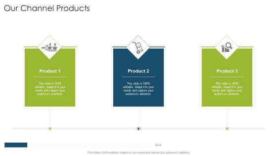 Our Channel Products Slide Organizational Strategies And Promotion Techniques Brochure PDF