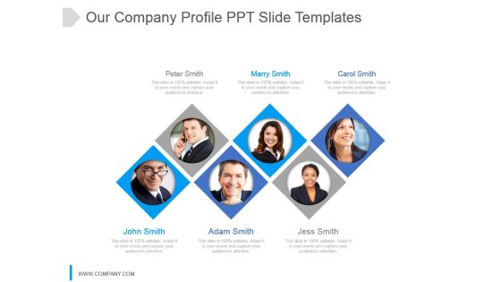 Our Company Profile Ppt Slides Our Company Profile Ppt Slides