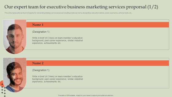Our Expert Team For Executive Business Marketing Services Proporsal Icons PDF