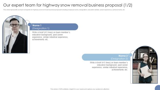 Our Expert Team For Highway Snow Removal Business Proposal Ppt Portfolio Skills PDF