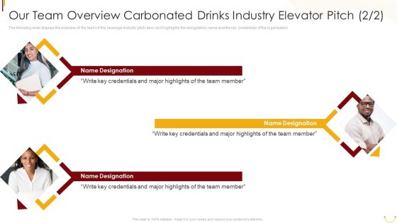 Our Team Overview Carbonated Drinks Industry Elevator Pitch Icons PDF Our Team Overview Carbonated Drinks Industry Elevator Pitch Icons PDF