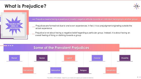 Overview Of The Concept Of Prejudice Training Ppt Overview Of The Concept Of Prejudice Training Ppt