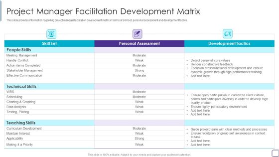 PMP Success Factors IT Project Manager Facilitation Development Matrix Formats PDF PMP Success Factors IT Project Manager Facilitation Development Matrix Formats PDF