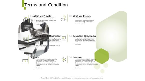 Paysheet Offshoring Company Terms And Condition Ppt Summary Shapes PDF Paysheet Offshoring Company Terms And Condition Ppt Summary Shapes PDF