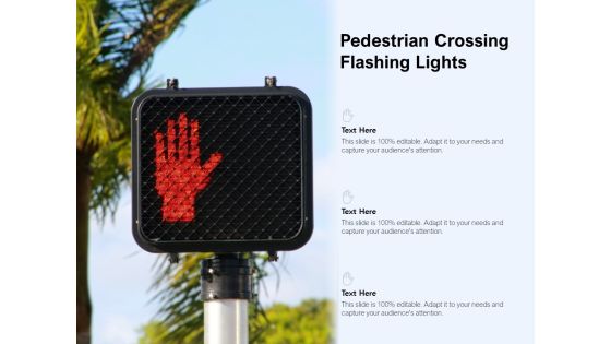 Pedestrian Crossing Flashing Lights Ppt PowerPoint Presentation Styles Visuals