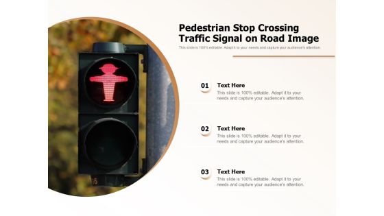 Pedestrian Stop Crossing Traffic Signal On Road Image Ppt PowerPoint Presentation File Background PDF Pedestrian Stop Crossing Traffic Signal On Road Image Ppt PowerPoint Presentation File Background PDF
