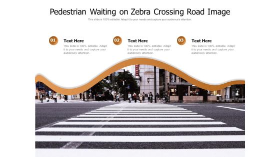 Pedestrian Waiting On Zebra Crossing Road Image Ppt PowerPoint Presentation Gallery Icons PDF Pedestrian Waiting On Zebra Crossing Road Image Ppt PowerPoint Presentation Gallery Icons PDF