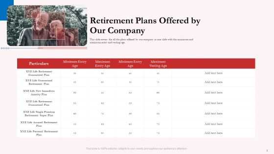 Pension Plan Retirement Plans Offered By Our Company Ppt Show Rules PDF Pension Plan Retirement Plans Offered By Our Company Ppt Show Rules PDF