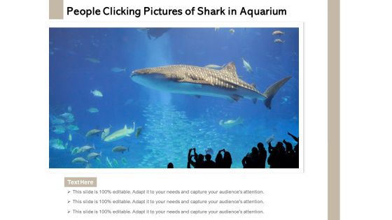 People Clicking Pictures Of Shark In Aquarium Ppt PowerPoint Presentation File Inspiration PDF