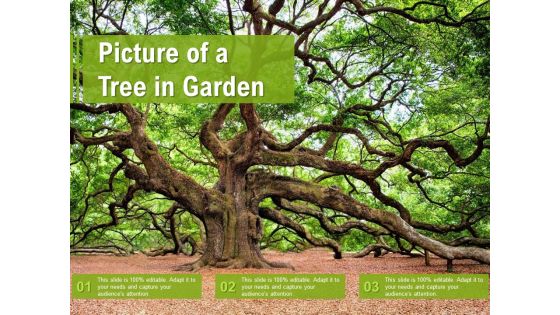 Picture Of A Tree In Garden Ppt Portfolio Background Designs PDF Picture Of A Tree In Garden Ppt Portfolio Background Designs PDF