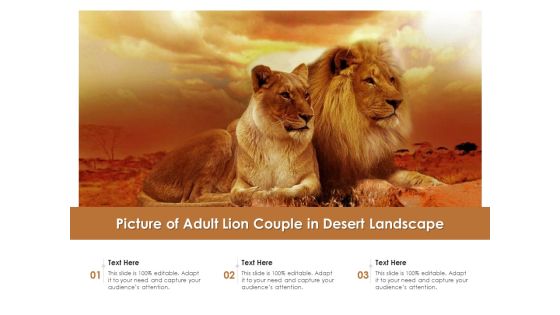 Picture Of Adult Lion Couple In Desert Landscape Ppt PowerPoint Presentation File Ideas PDF