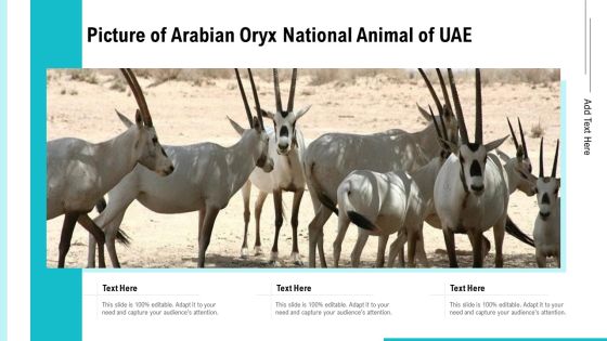 Picture Of Arabian Oryx National Animal Of UAE Ppt PowerPoint Presentation Gallery Slideshow PDF Picture Of Arabian Oryx National Animal Of UAE Ppt PowerPoint Presentation Gallery Slideshow PDF