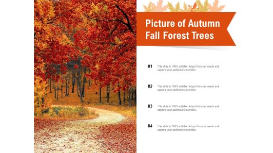 Picture Of Autumn Fall Forest Trees Ppt PowerPoint Presentation Show Objects Picture Of Autumn Fall Forest Trees Ppt PowerPoint Presentation Show Objects