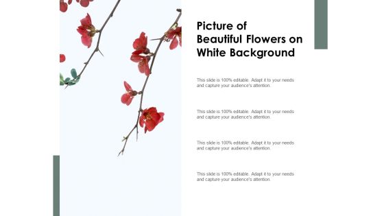 Picture Of Beautiful Flowers On White Background Ppt PowerPoint Presentation Inspiration Example