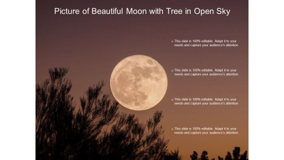 Picture Of Beautiful Moon With Tree In Open Sky Ppt PowerPoint Presentation Icon Show