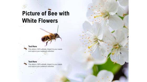 Picture Of Bee With White Flowers Ppt PowerPoint Presentation Show Smartart PDF Picture Of Bee With White Flowers Ppt PowerPoint Presentation Show Smartart PDF