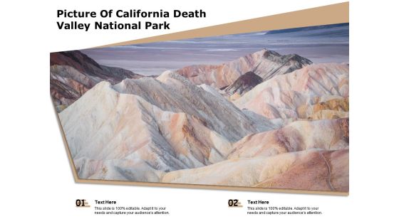 Picture Of California Death Valley National Park Ppt PowerPoint Presentation Icon Professional