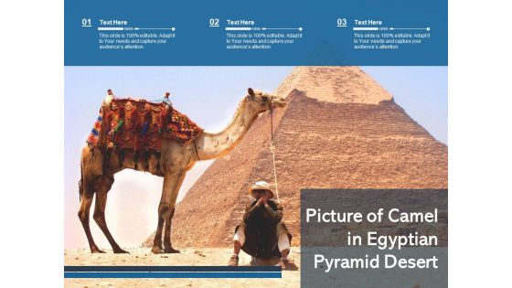 Picture Of Camel In Egyptian Pyramid Desert Ppt PowerPoint Presentation Gallery Gridlines PDF Picture Of Camel In Egyptian Pyramid Desert Ppt PowerPoint Presentation Gallery Gridlines PDF
