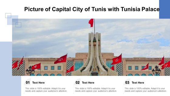 Picture Of Capital City Of Tunis With Tunisia Palace Ppt PowerPoint Presentation Icon Professional PDF Picture Of Capital City Of Tunis With Tunisia Palace Ppt PowerPoint Presentation Icon Professional PDF