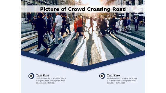Picture Of Crowd Crossing Road Ppt Powerpoint Presentation Show Images Pdf Picture Of Crowd Crossing Road Ppt Powerpoint Presentation Show Images Pdf
