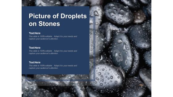 Picture Of Droplets On Stones Ppt PowerPoint Presentation Model Graphics Template Picture Of Droplets On Stones Ppt PowerPoint Presentation Model Graphics Template