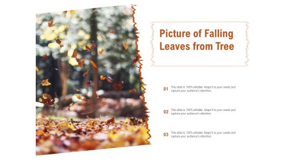 Picture Of Falling Leaves From Tree Ppt PowerPoint Presentation Ideas Samples Picture Of Falling Leaves From Tree Ppt PowerPoint Presentation Ideas Samples