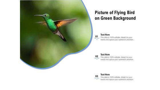 Picture Of Flying Bird On Green Background Ppt PowerPoint Presentation Icon Show PDF Picture Of Flying Bird On Green Background Ppt PowerPoint Presentation Icon Show PDF