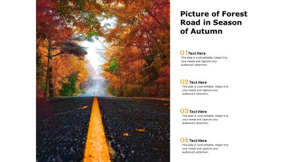 Picture Of Forest Road In Season Of Autumn Ppt PowerPoint Presentation Infographic Template Show PDF Picture Of Forest Road In Season Of Autumn Ppt PowerPoint Presentation Infographic Template Show PDF
