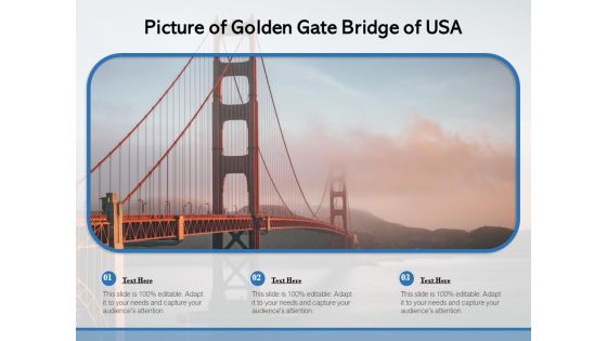 Picture Of Golden Gate Bridge Of USA Ppt PowerPoint Presentation Portfolio Guidelines PDF Picture Of Golden Gate Bridge Of USA Ppt PowerPoint Presentation Portfolio Guidelines PDF