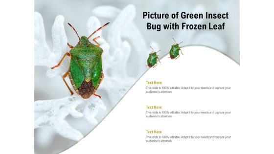 Picture Of Green Insect Bug With Frozen Leaf Ppt PowerPoint Presentation Infographics Example PDF