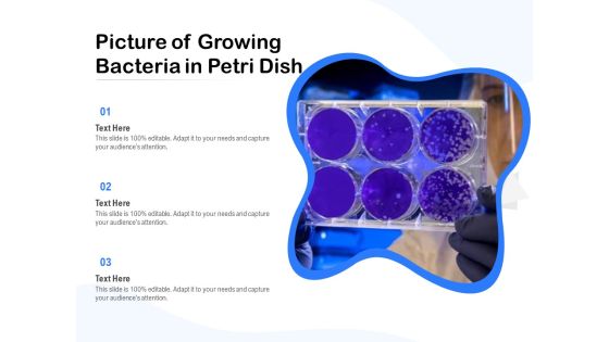 Picture Of Growing Bacteria In Petri Dish Ppt PowerPoint Presentation Gallery Graphic Tips PDF Picture Of Growing Bacteria In Petri Dish Ppt PowerPoint Presentation Gallery Graphic Tips PDF