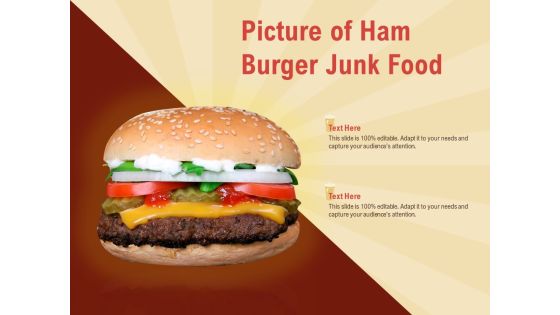 Picture Of Ham Burger Junk Food Ppt PowerPoint Presentation Icon Files Picture Of Ham Burger Junk Food Ppt PowerPoint Presentation Icon Files