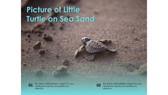 Picture Of Little Turtle On Sea Sand Ppt PowerPoint Presentation Infographic Template Good PDF