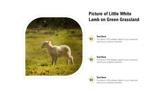 Picture Of Little White Lamb On Green Grassland Ppt PowerPoint Presentation File Layouts PDF Picture Of Little White Lamb On Green Grassland Ppt PowerPoint Presentation File Layouts PDF