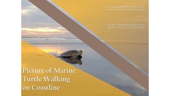 Picture Of Marine Turtle Walking On Coastline Ppt PowerPoint Presentation Professional Background Designs PDF Picture Of Marine Turtle Walking On Coastline Ppt PowerPoint Presentation Professional Background Designs PDF