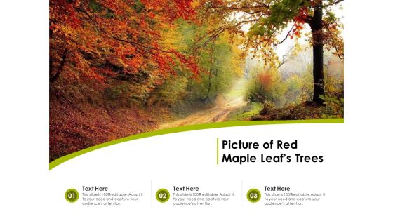 Picture Of Red Maple Leafs Trees Ppt PowerPoint Presentation Icon Infographics PDF Picture Of Red Maple Leafs Trees Ppt PowerPoint Presentation Icon Infographics PDF